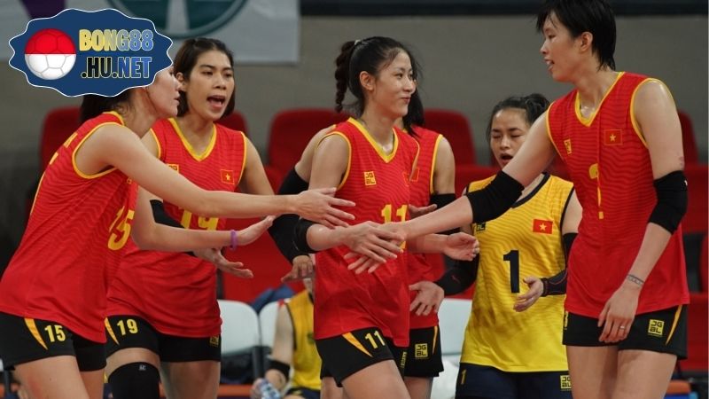 Bóng chuyền Bến Tre - Khám phá niềm đam mê thể thao đặc sắc