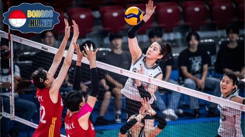 Lịch Sử Đội Tuyển Bóng Chuyền Việt Nam Và Thành Tích Nổi Bật