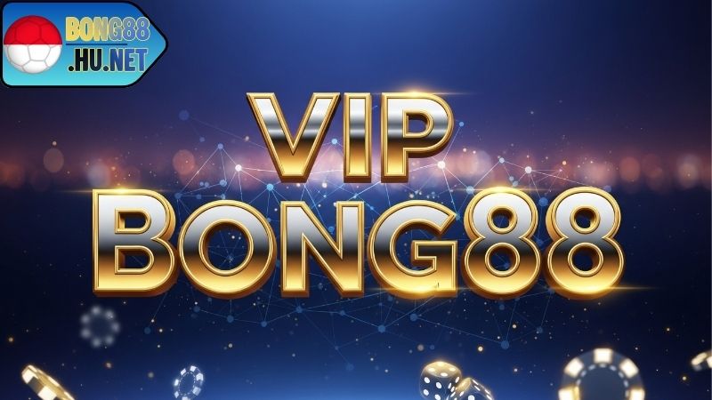 Quyền lợi hấp dẫn khi tham gia VIP BONG88